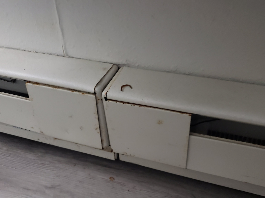 Super 8 by Wyndham West Fargo Main Ave ND主图