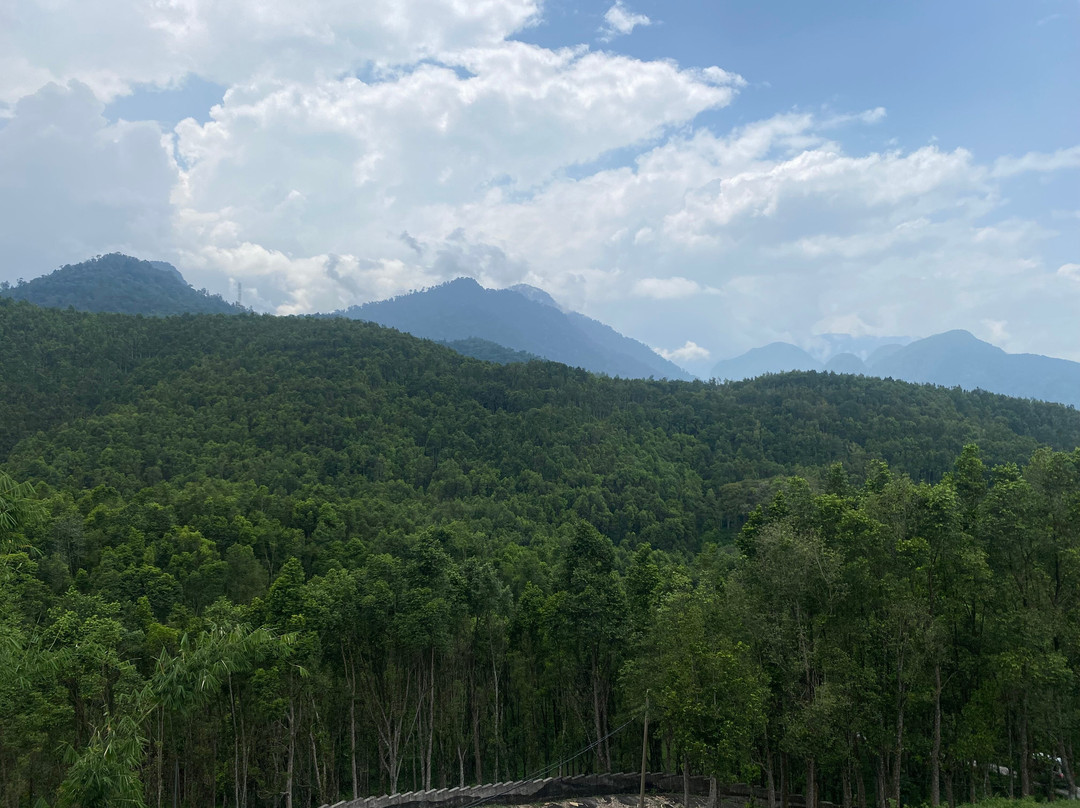 Gaharu Tea Valley-务边必去景点