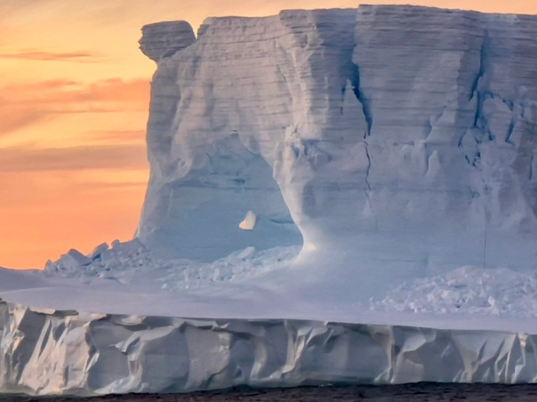 South Georgia Museum-Grytviken必去景点