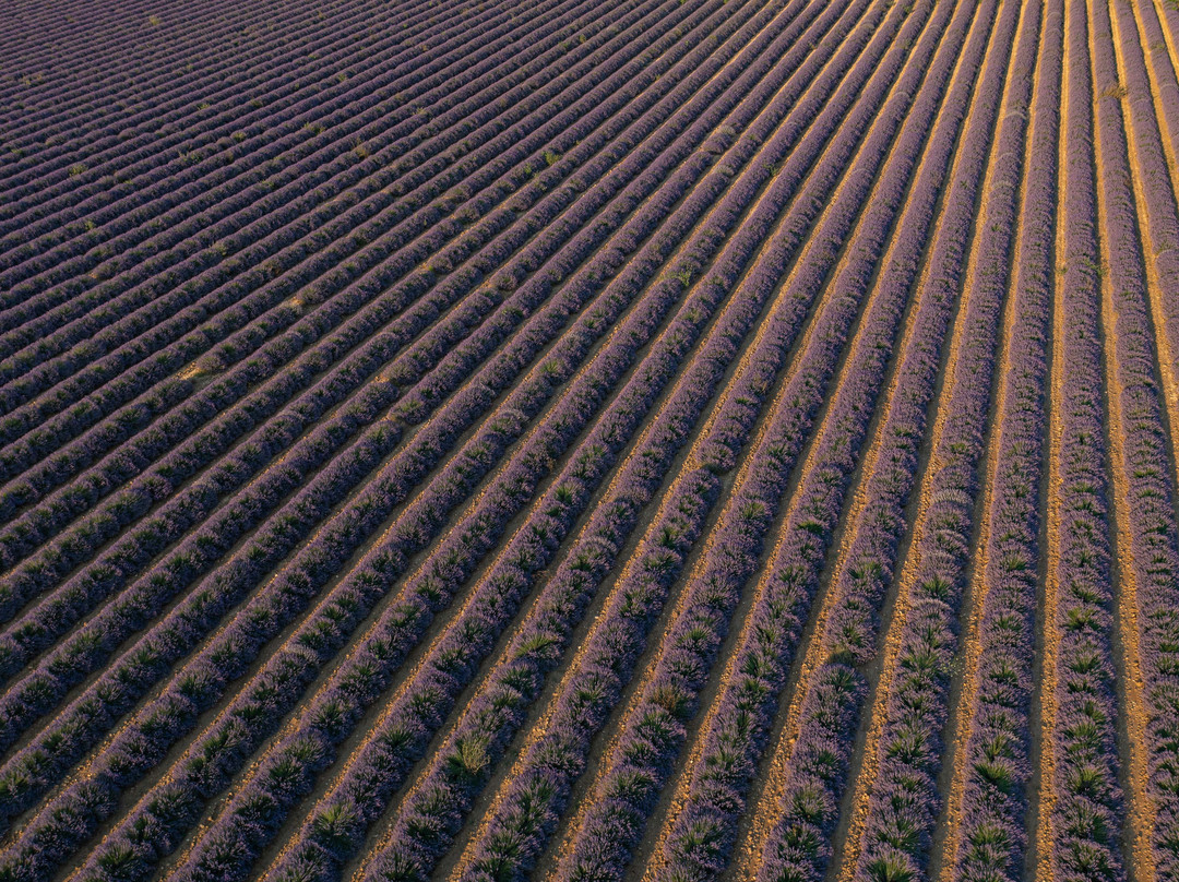 Dieulefit - Bourdeaux Tourisme-Dieulefit必去景点