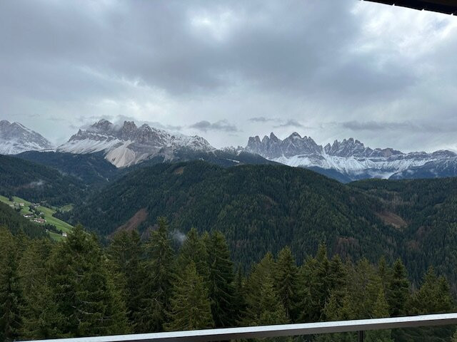 Forestis Dolomites主图