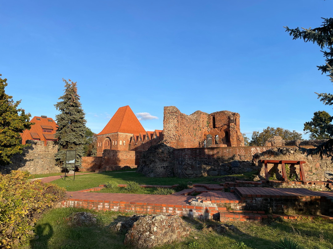 Teutonic Castle Ruins景点图片