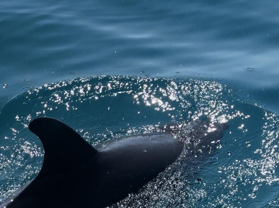 Cleos Vip Tours-拉巴斯必去景点