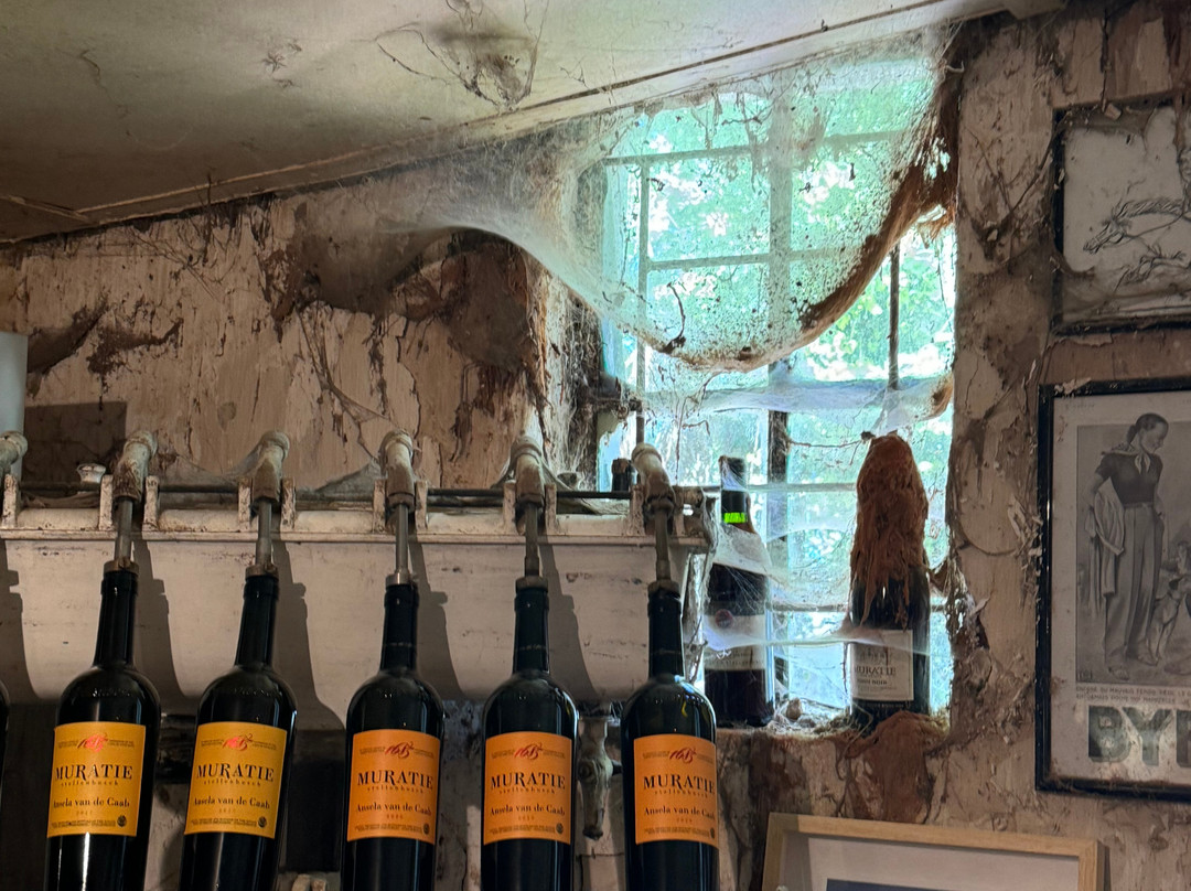 Grapes of Good Hope-开普敦必去景点