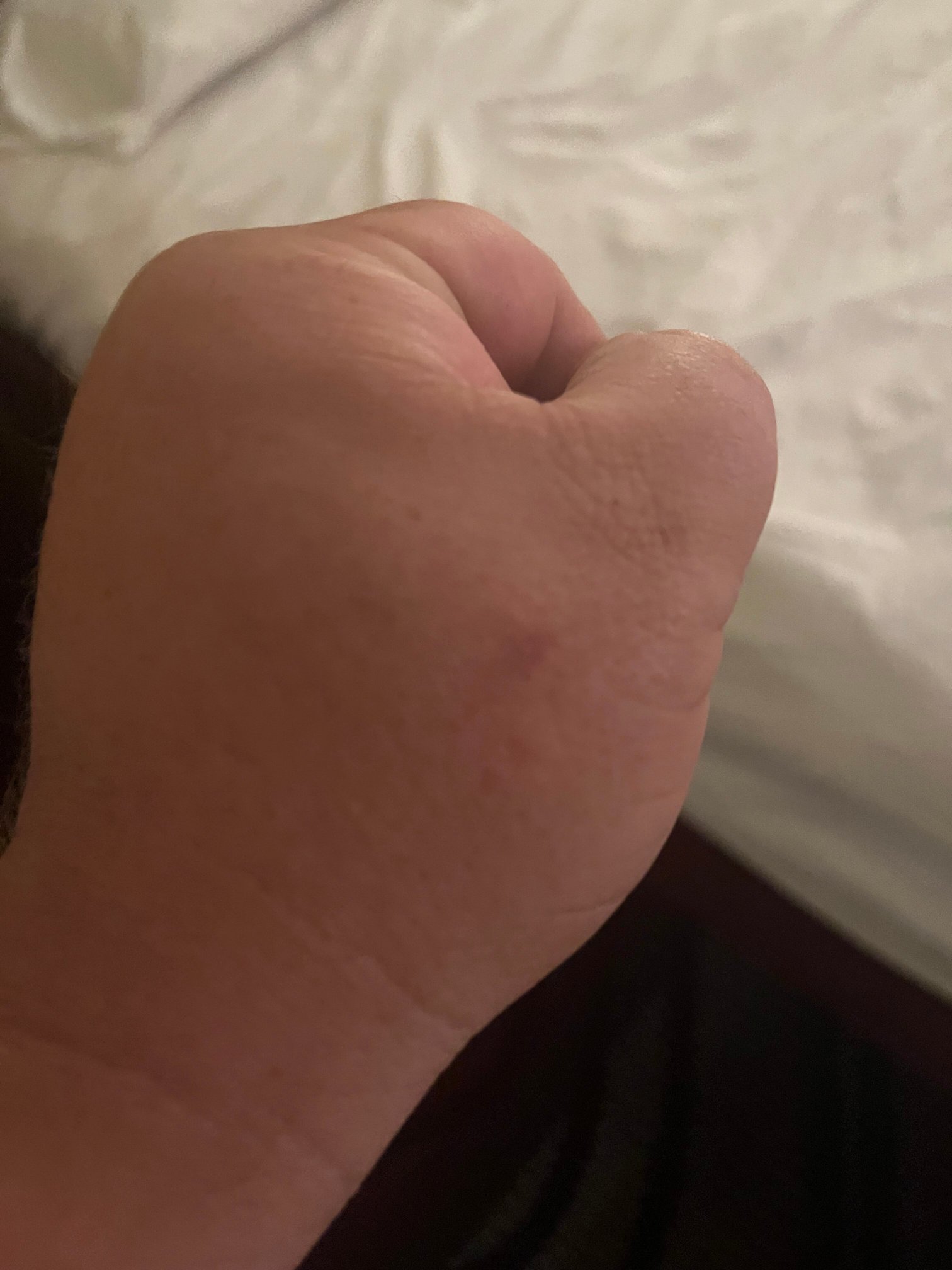 地平线旅馆-官方