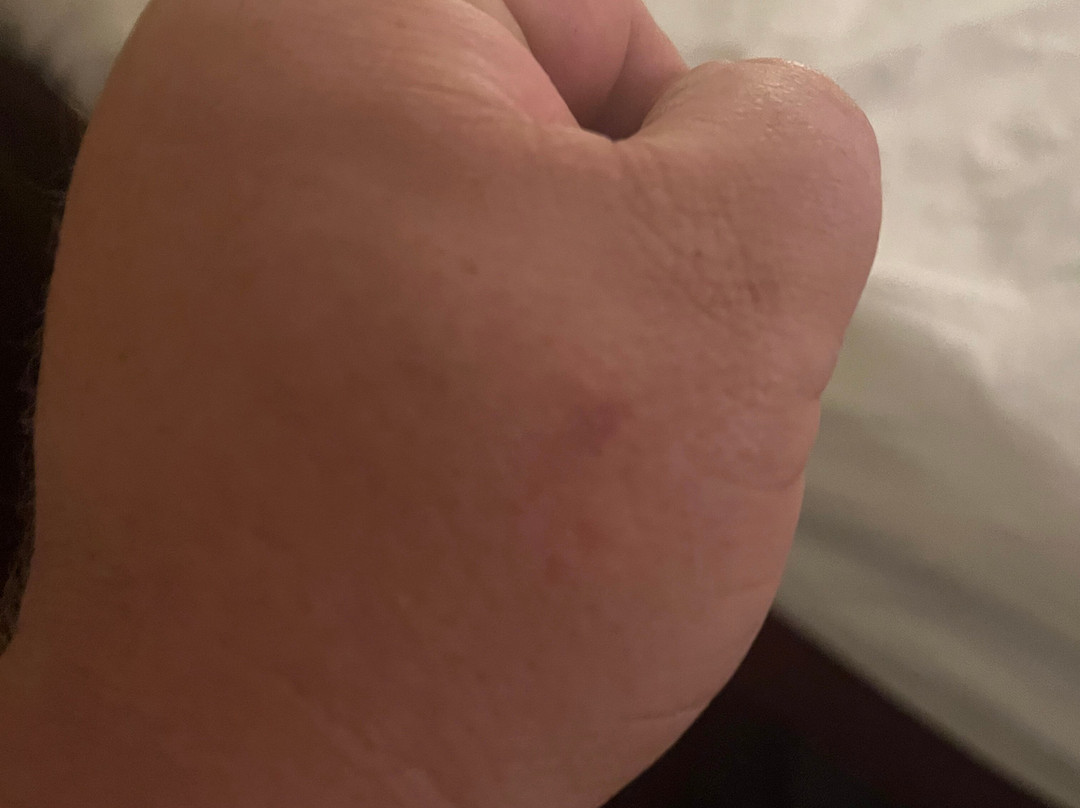 地平线旅馆主图