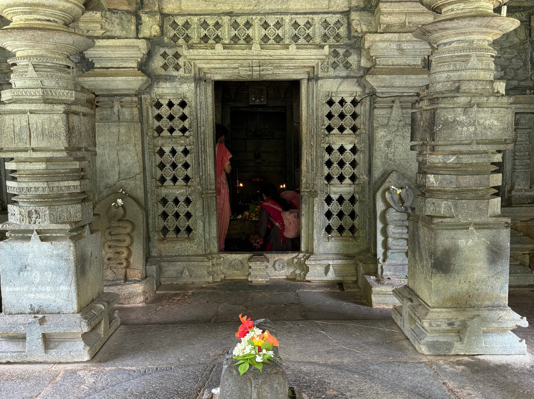 Tambadi Surla Mahadev Temple景点图片