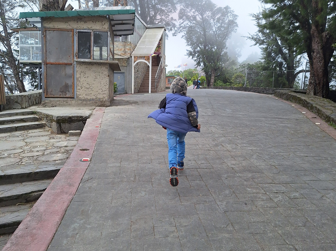 Teleferico-加拉加斯必去景点