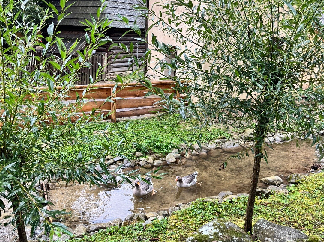 Museum of Orava Village-Zuberec必去景点