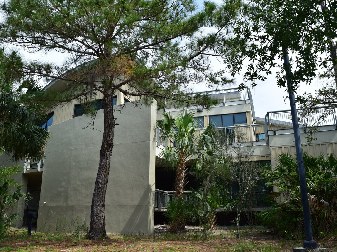 Weedon Island Preserve Cultural And Natural History Center景点图片