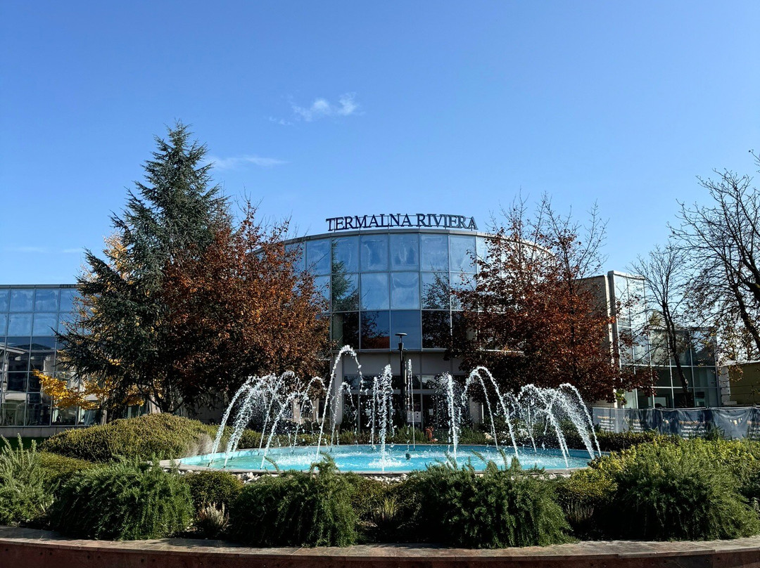Hotel Terme - Terme Čatež主图