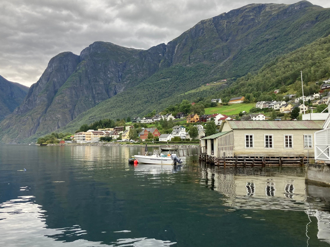 Hotel Aurlandsfjord主图