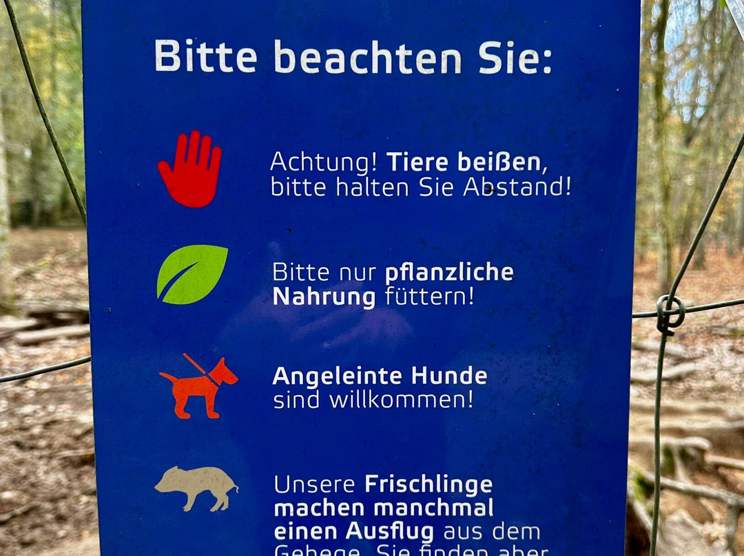 Bergsee-Bad Sackingen必去景点