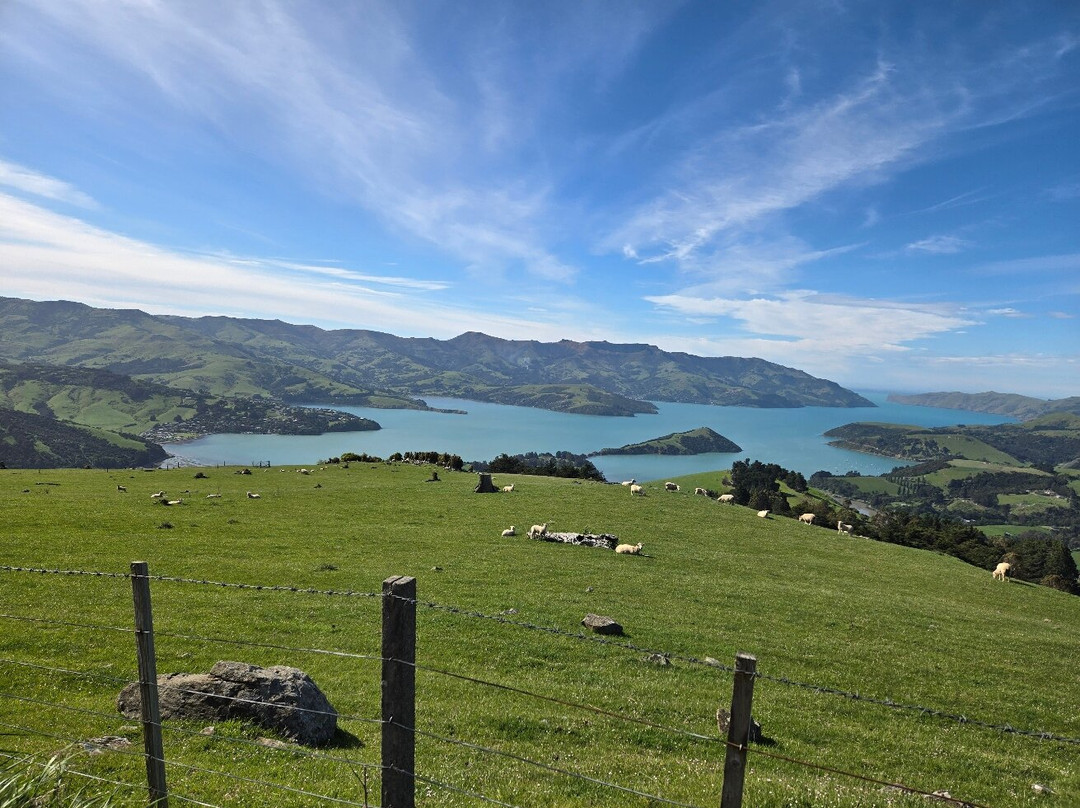 Akaroa's Eastern Bays Scenic Mail Run景点图片