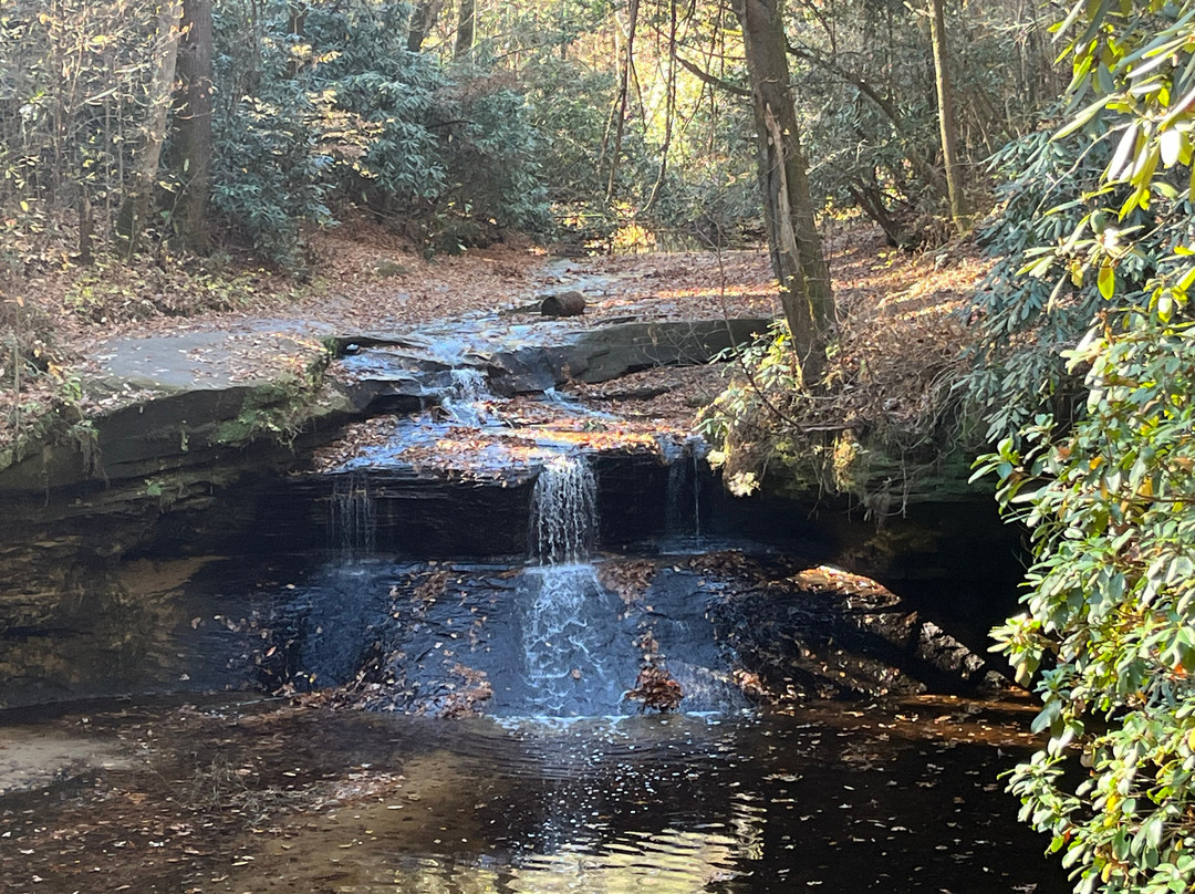 Rock Bridge Trail #207-Slade必去景点