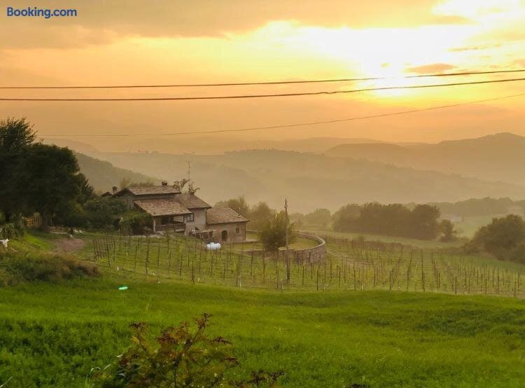 Fattoria Branciana