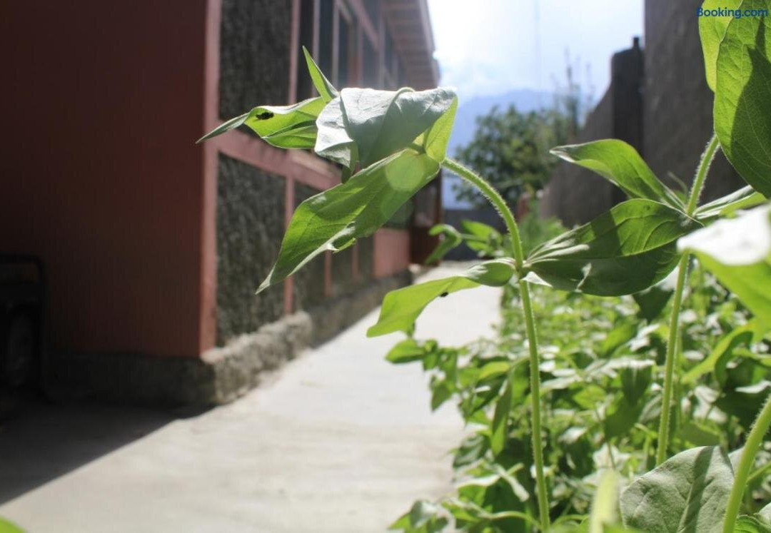 CPEC Hotel Barcha Unit