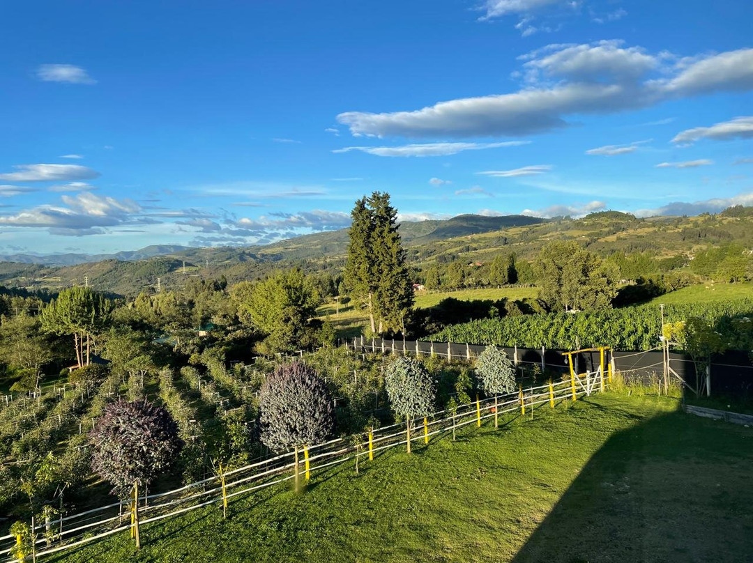 Finca Colinas y Senderos