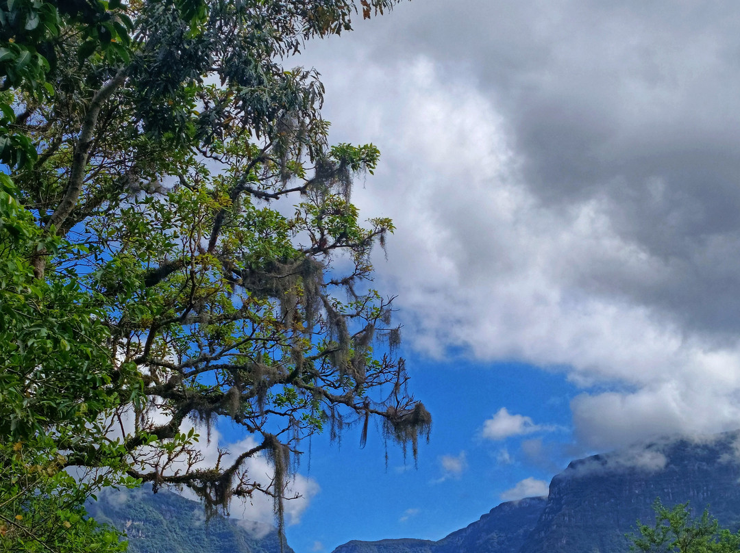 Pousada Malacara主图