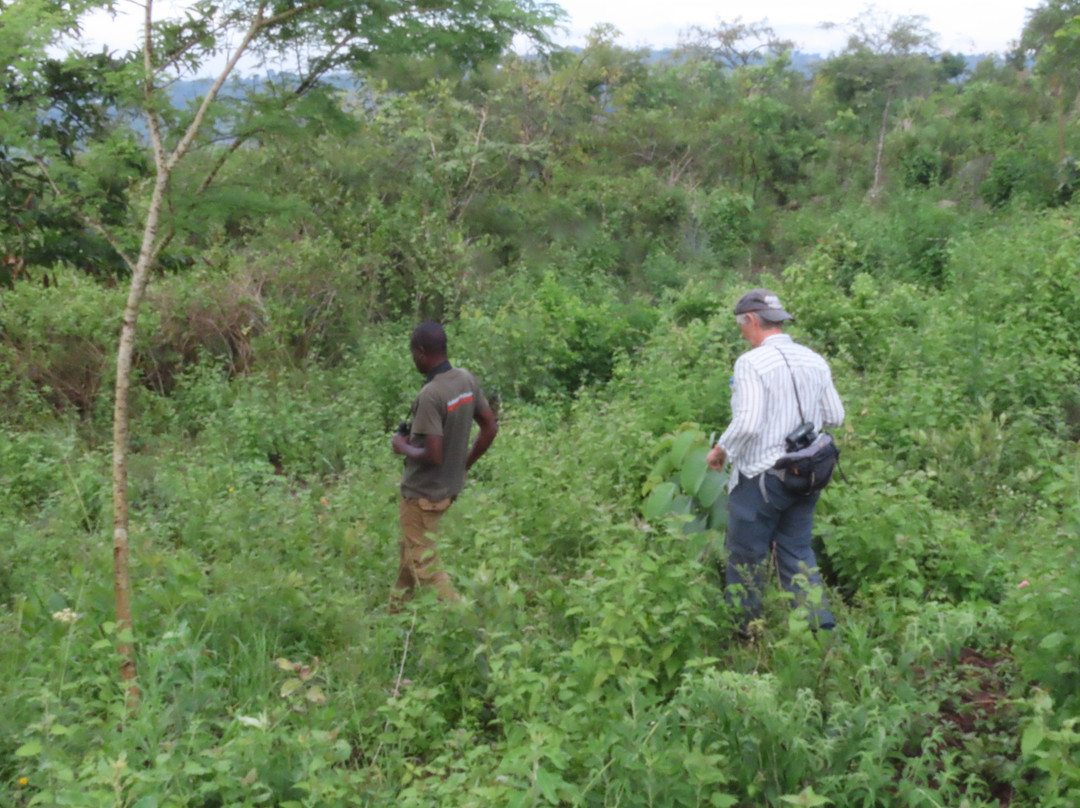 Oluokos Signature-基苏木必去景点
