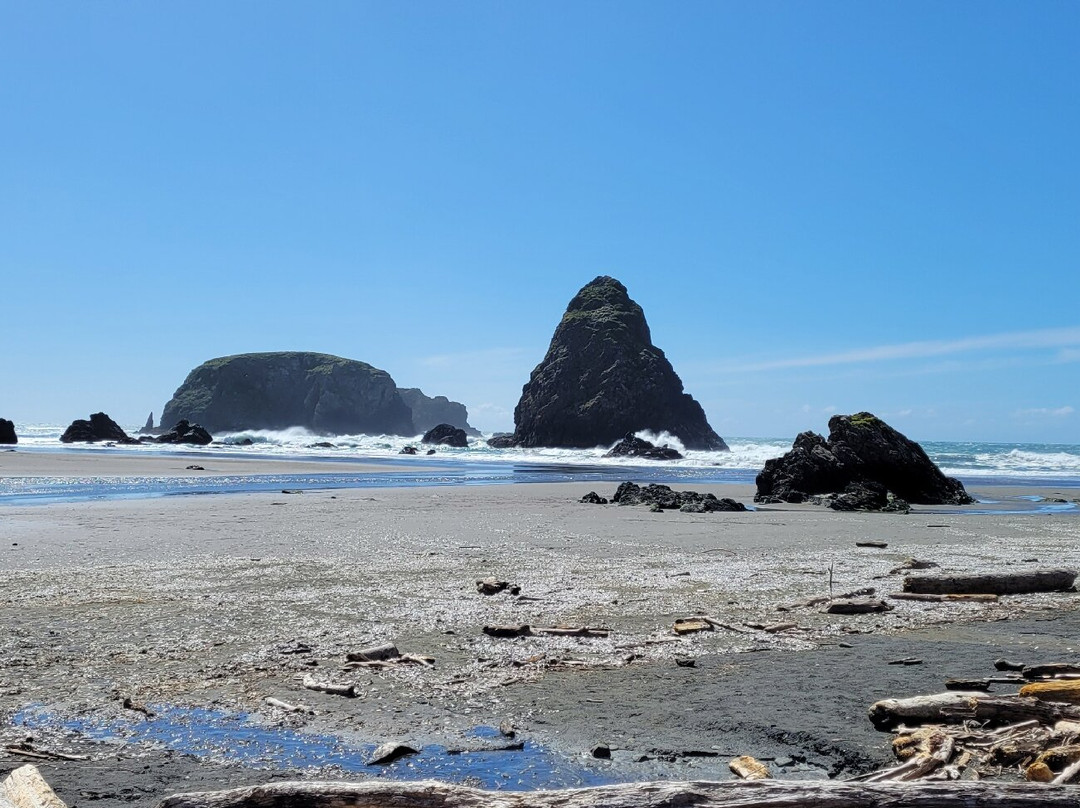 Whaleshead Viewpoint-布鲁金斯必去景点