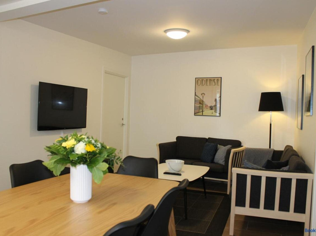 欧登塞酒店住宿-Odense Apartments