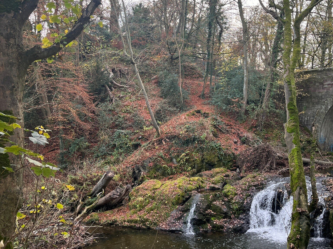 Arbirlot Waterfalls-Arbroath必去景点