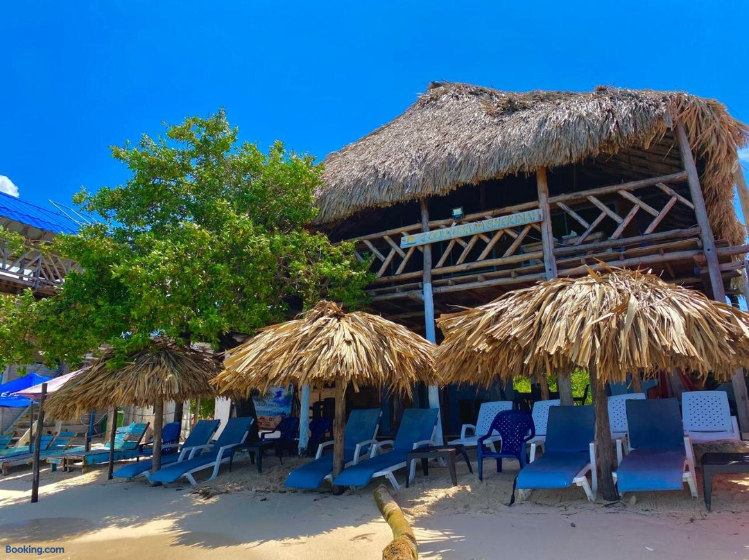 Shekinah Eco-Hostel主图