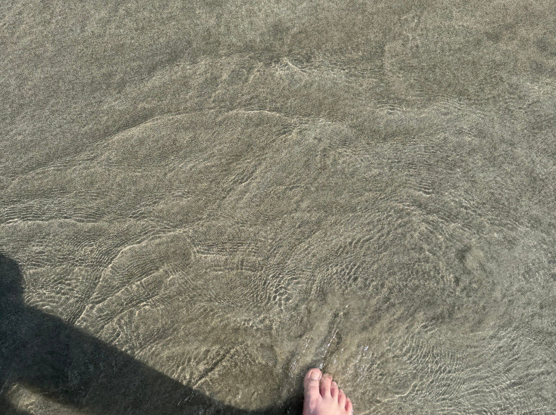 Barra Do Sahy Beach景点图片