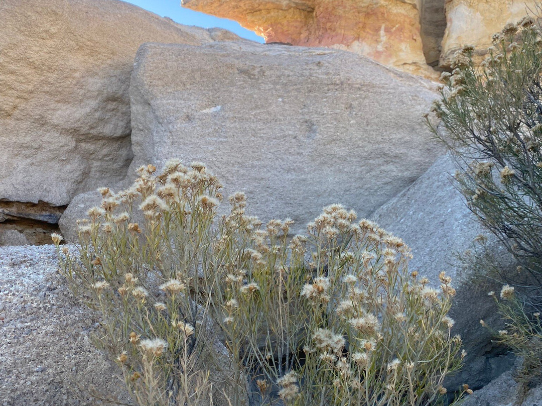 Paint Mines Interpretive Park-Calhan必去景点
