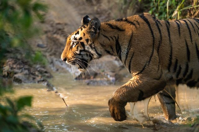 Excellent Stay At Mall主图