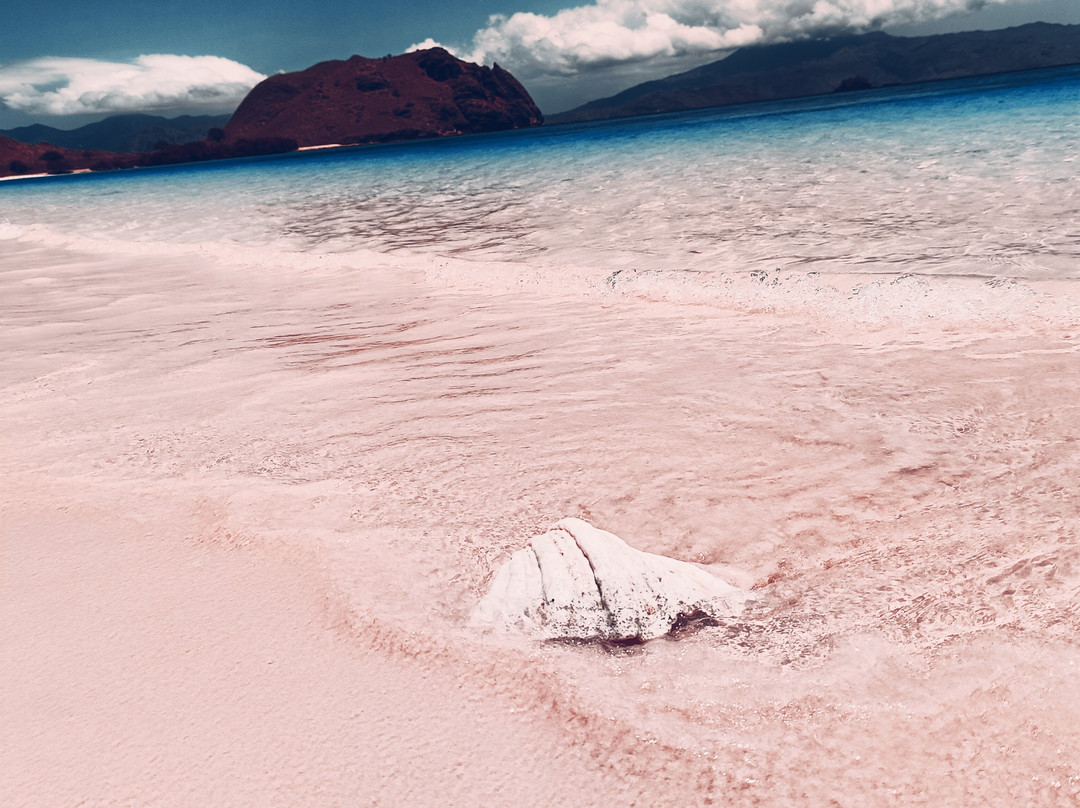 Pink Beach-科莫多必去景点