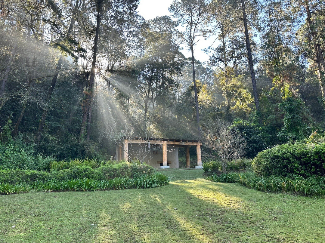 Eleusinia Retreat景点图片