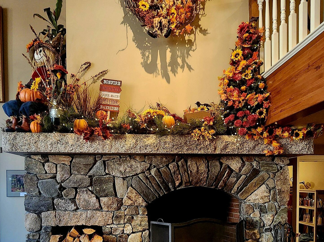 The Snowflake Inn主图