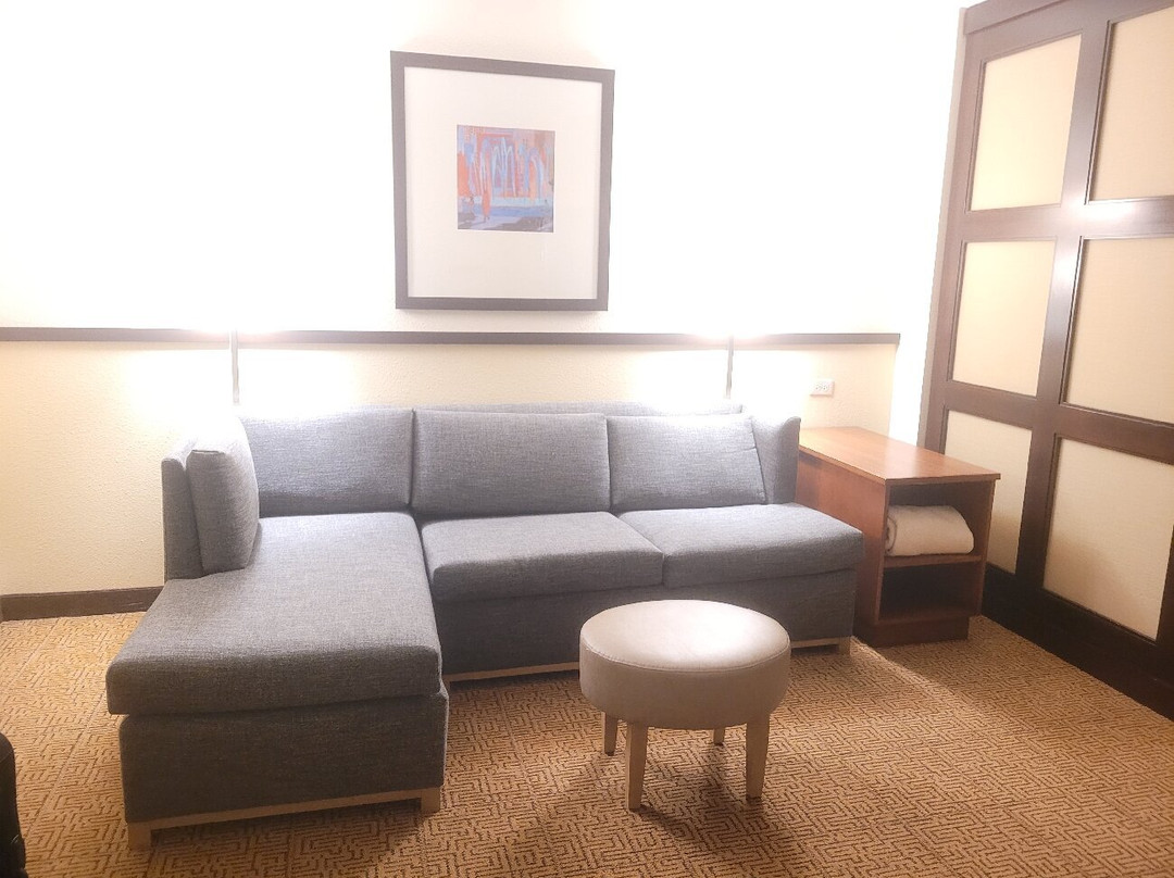 Hyatt Place Chicago/Naperville/Warrenville主图