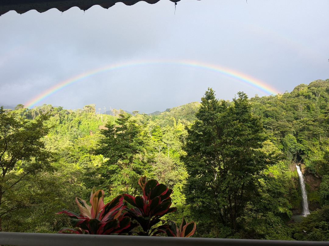 Villa Tavida Lodge & Spa主图