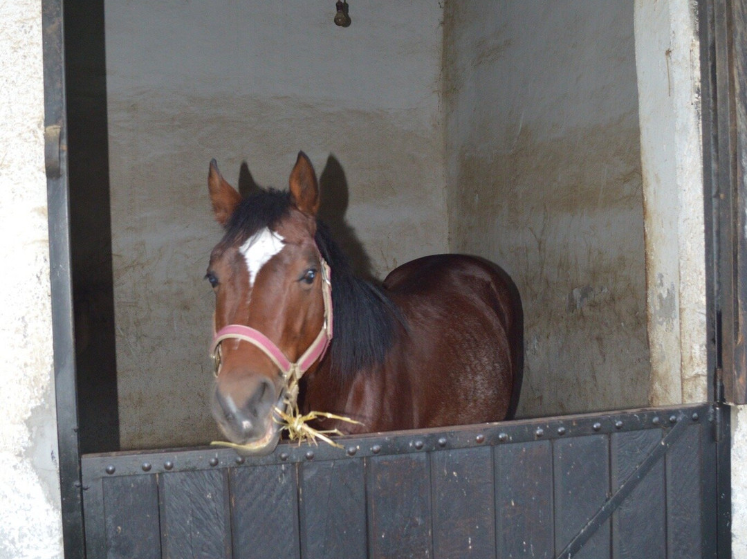 Entre Riendas Mx-Ocoyoacac必去景点