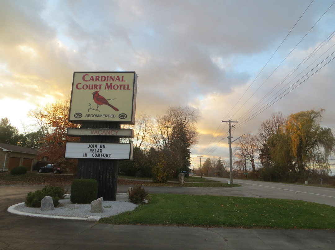 Cardinal Court Motel主图