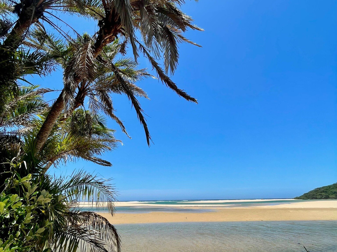Kosi Bay Nature Reserve-Kosi Bay必去景点