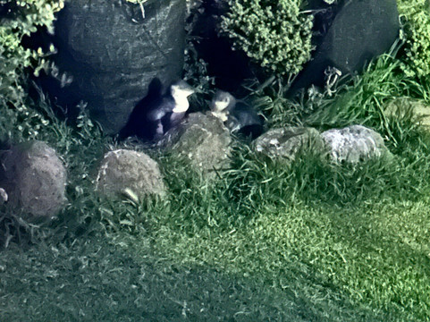 庄园小屋民宿主图