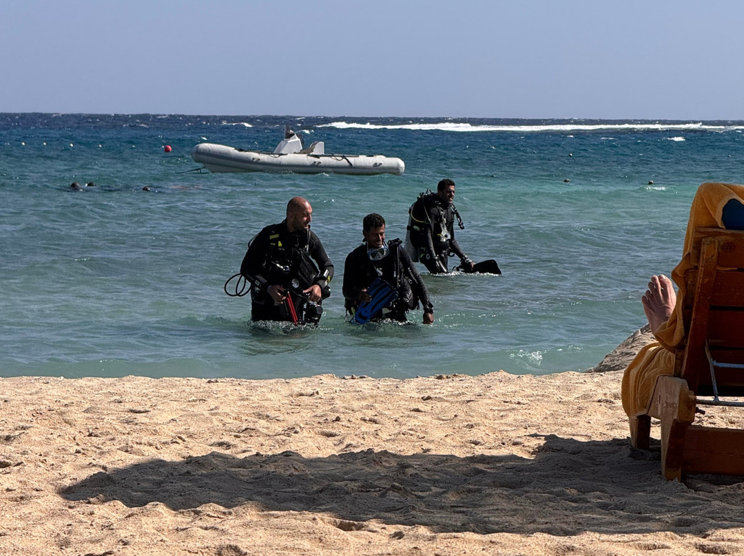 Dive Club Port Ghalib & Marsa Alam Diving Center-马萨阿拉姆必去景点