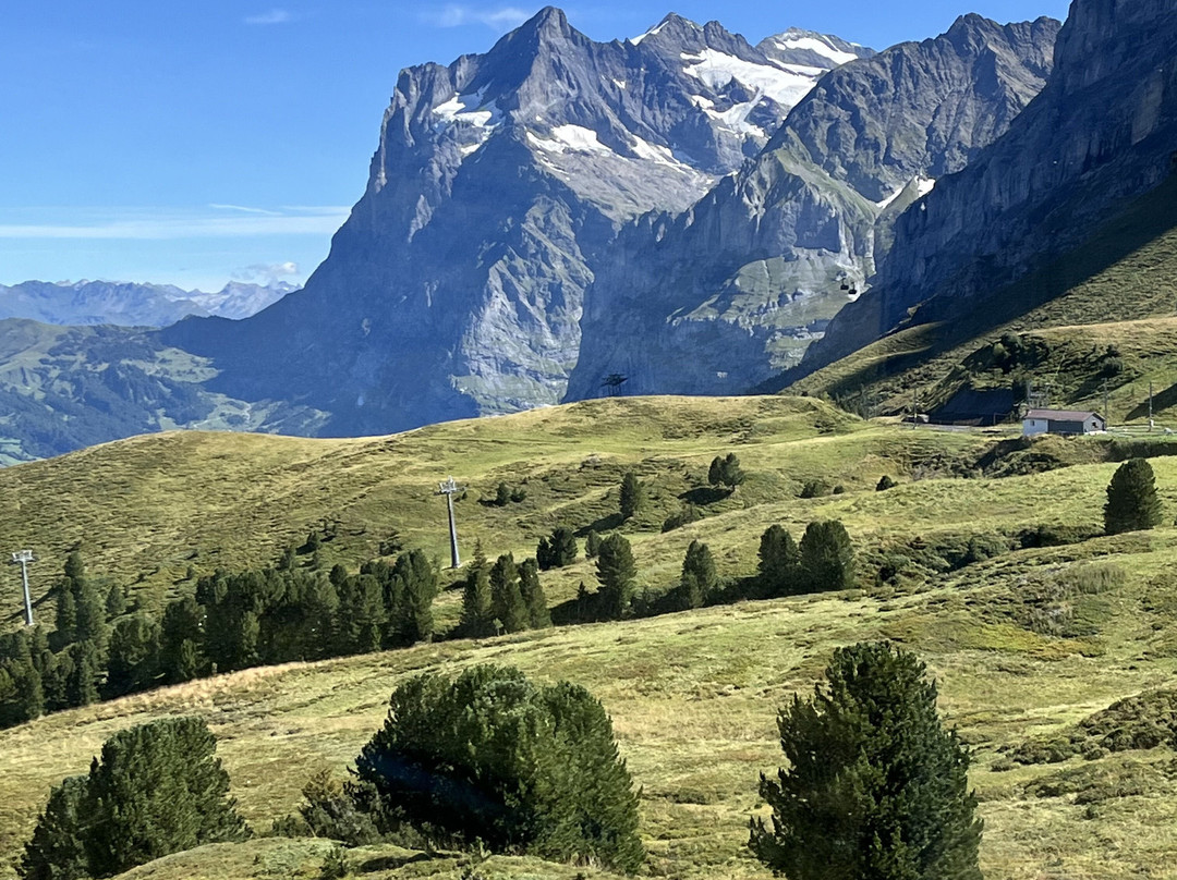 The Wetterhorn-格林德瓦必去景点
