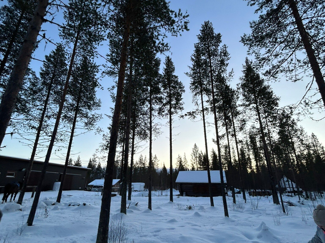 Polar Lights Tours-Sirkka必去景点