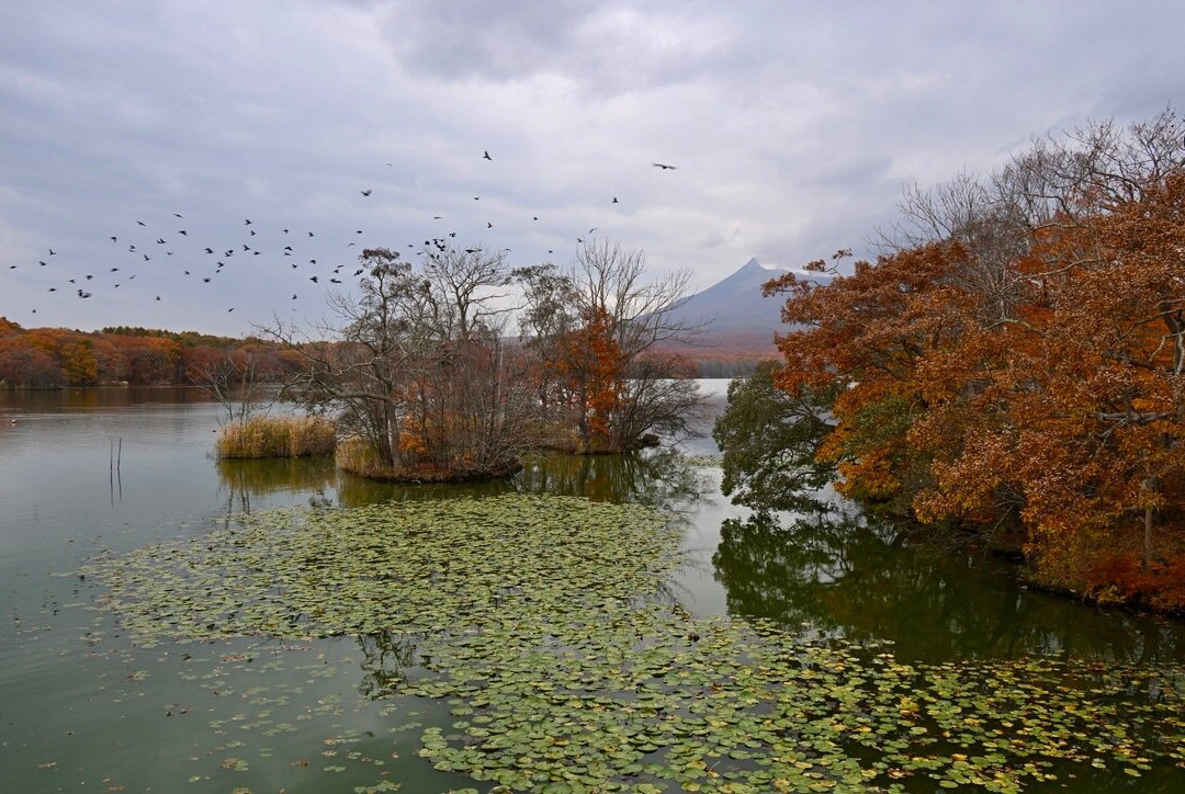 Onuma Quasi-National Park-七饭町必去景点