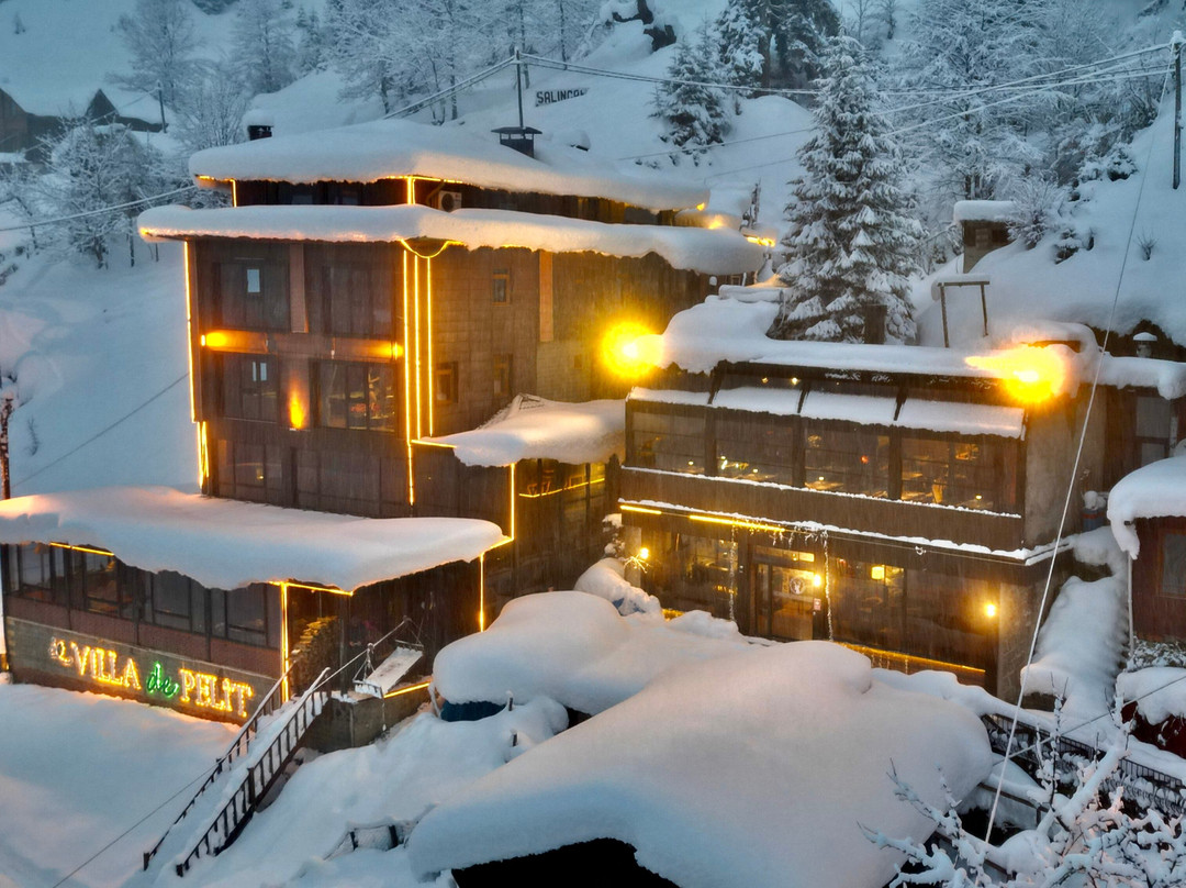 Ayder Villa de Pelit Hotel主图