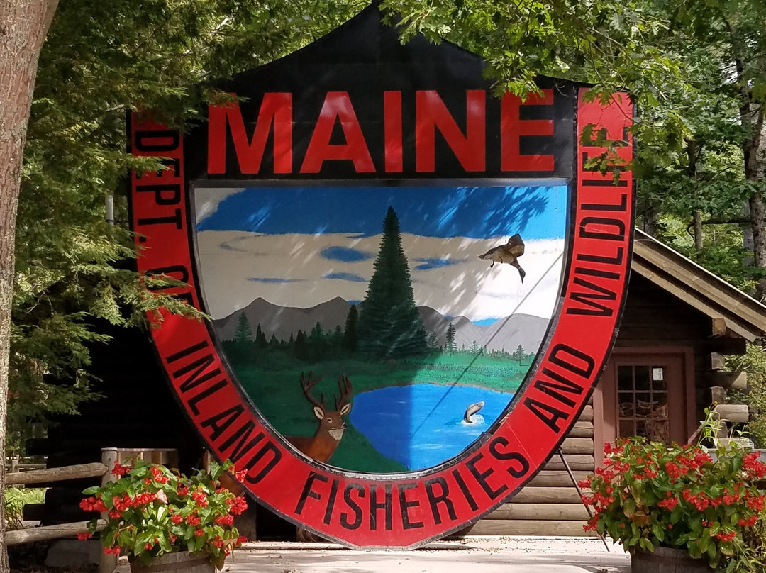 Maine Wildlife Park景点图片