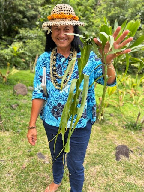 Tahiti Eden Tours景点图片