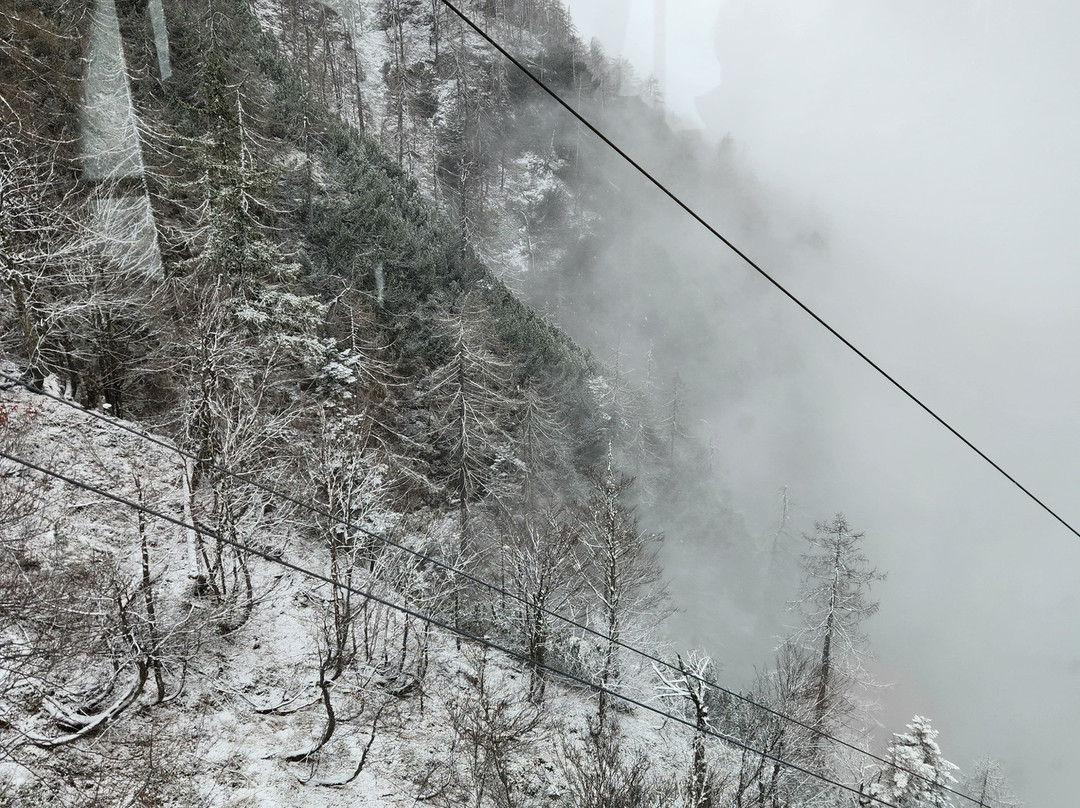 Vogel Cable Car景点图片
