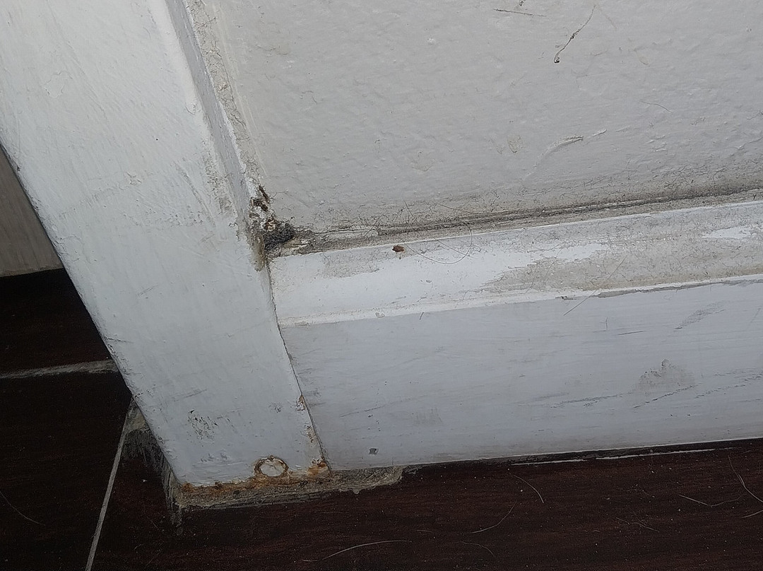 Microtel Inn & Suites by Wyndham Palm Coast主图