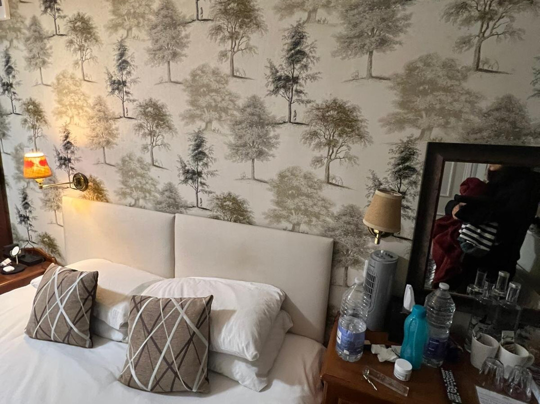 The Old Bell Inn主图